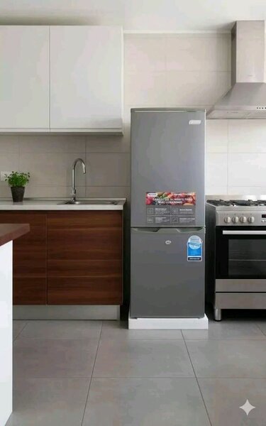 Réfrigérateur combiné moderne