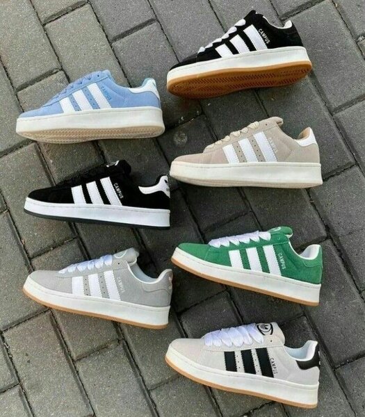 Adidas campus original