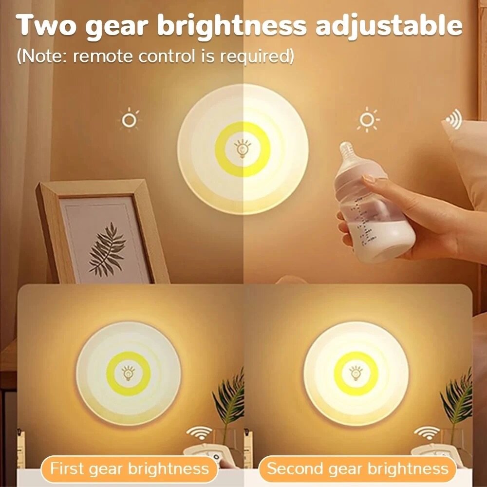 3 in 1 led light with remote