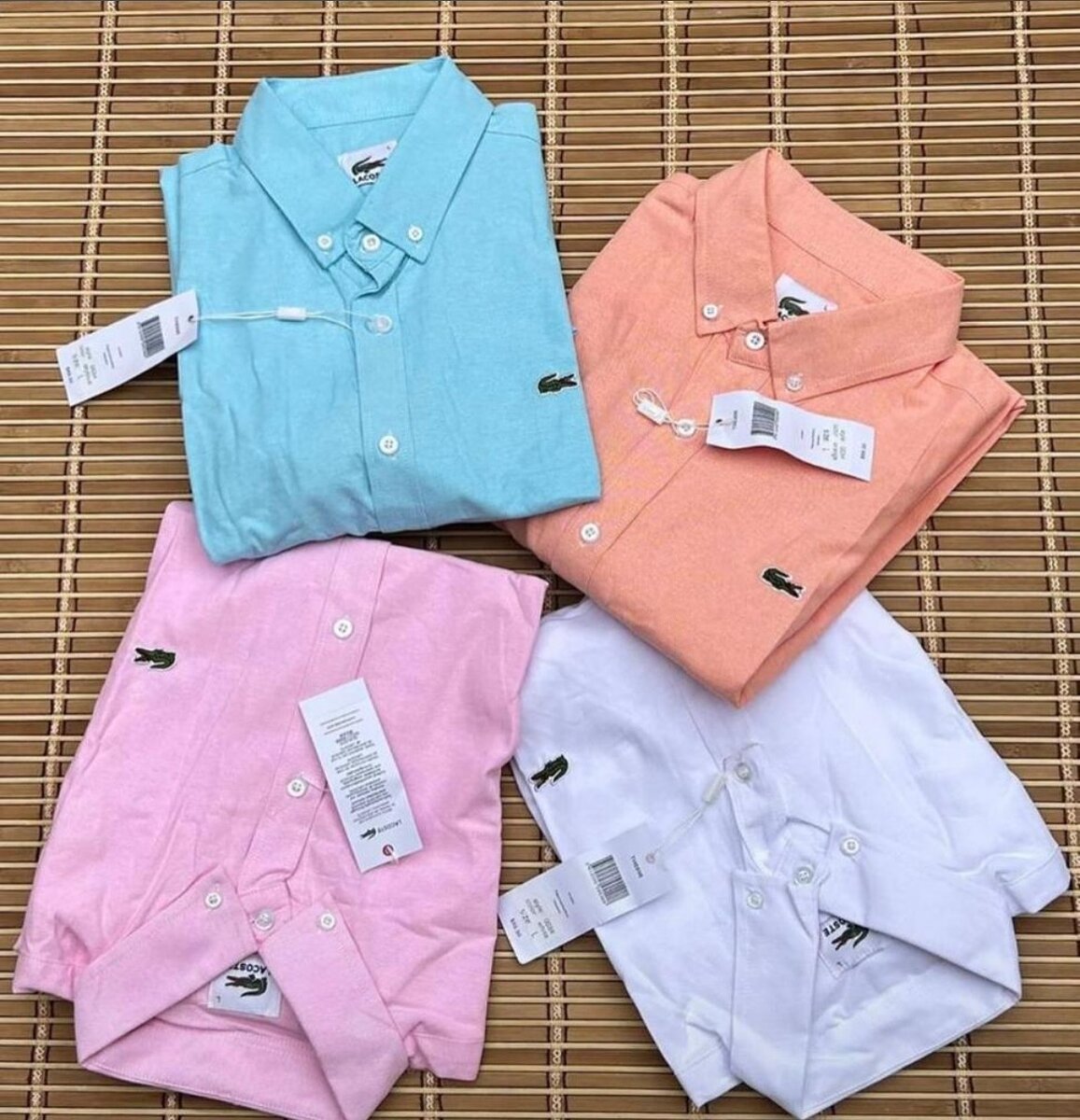 Chemises en Coton Colorées