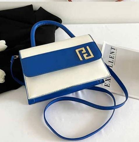 Sac à main femme luxe