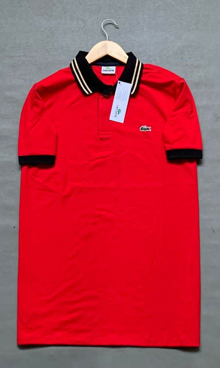 Polo élégant homme