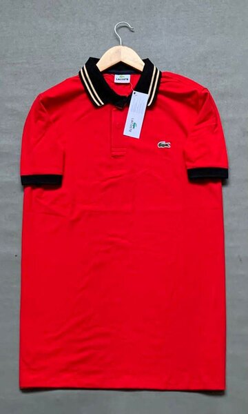 Polo élégant homme