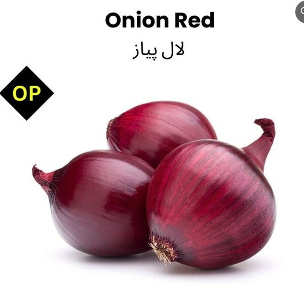 Onion Red Seeds
