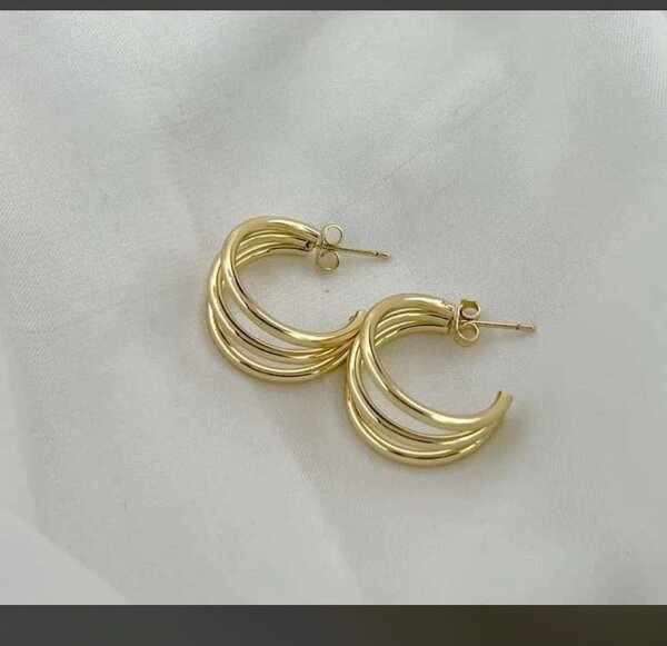 Ladies earrings