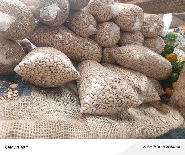 Ensemble de grains et épices