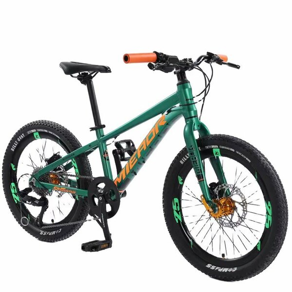 Vélo tout-terrain enfant - Meteor