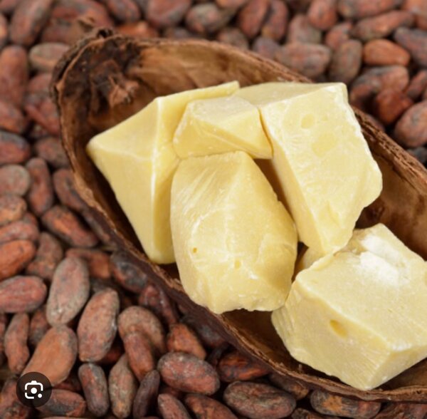 Beurre de cacao bio