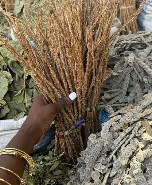 Racine de vétiver ou gongoli