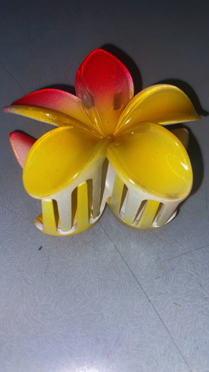 Pince fleurs colorées