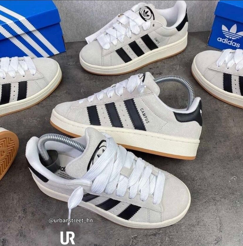 Chaussures adidas campus