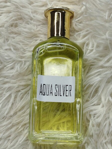 Parfum Aqua Silver Unisexe