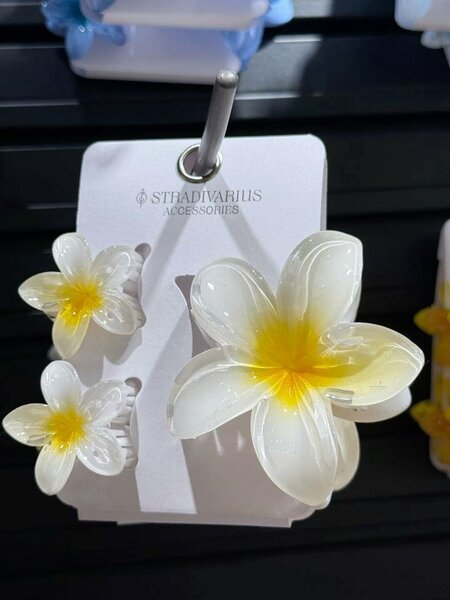 Pinces à cheveux fleur Stradivarius