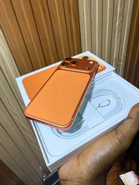 iPhone Pro Max Orange