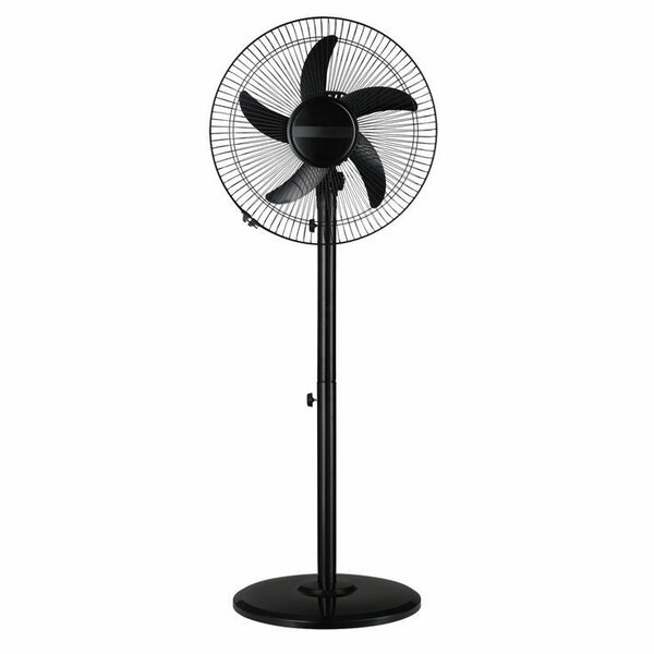 Standing Fan