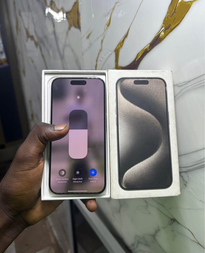 iPhone 14 Pro Max 256GB Argent