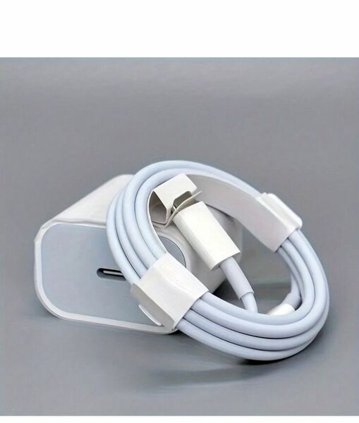 Chargeur iPhone authentique