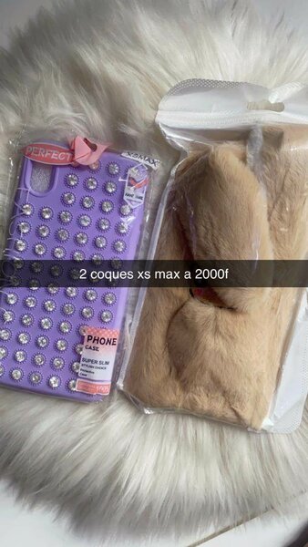 Coque de téléphone