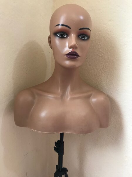 Tête entière de perruque .