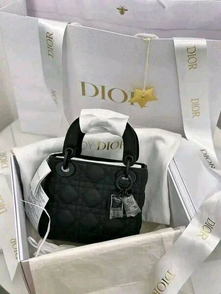 Sac à Main LV, Dior