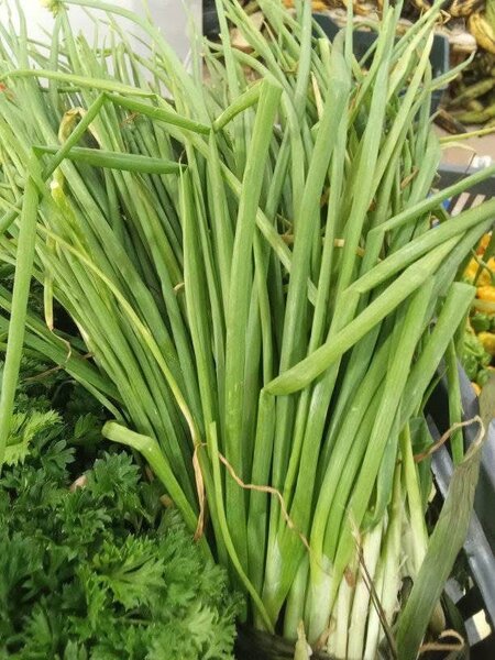 Panier de Légumes Frais