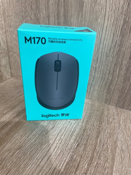 Logitech M170