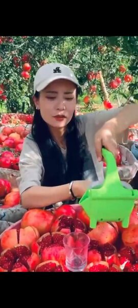 Presse-agrumes manuel compact