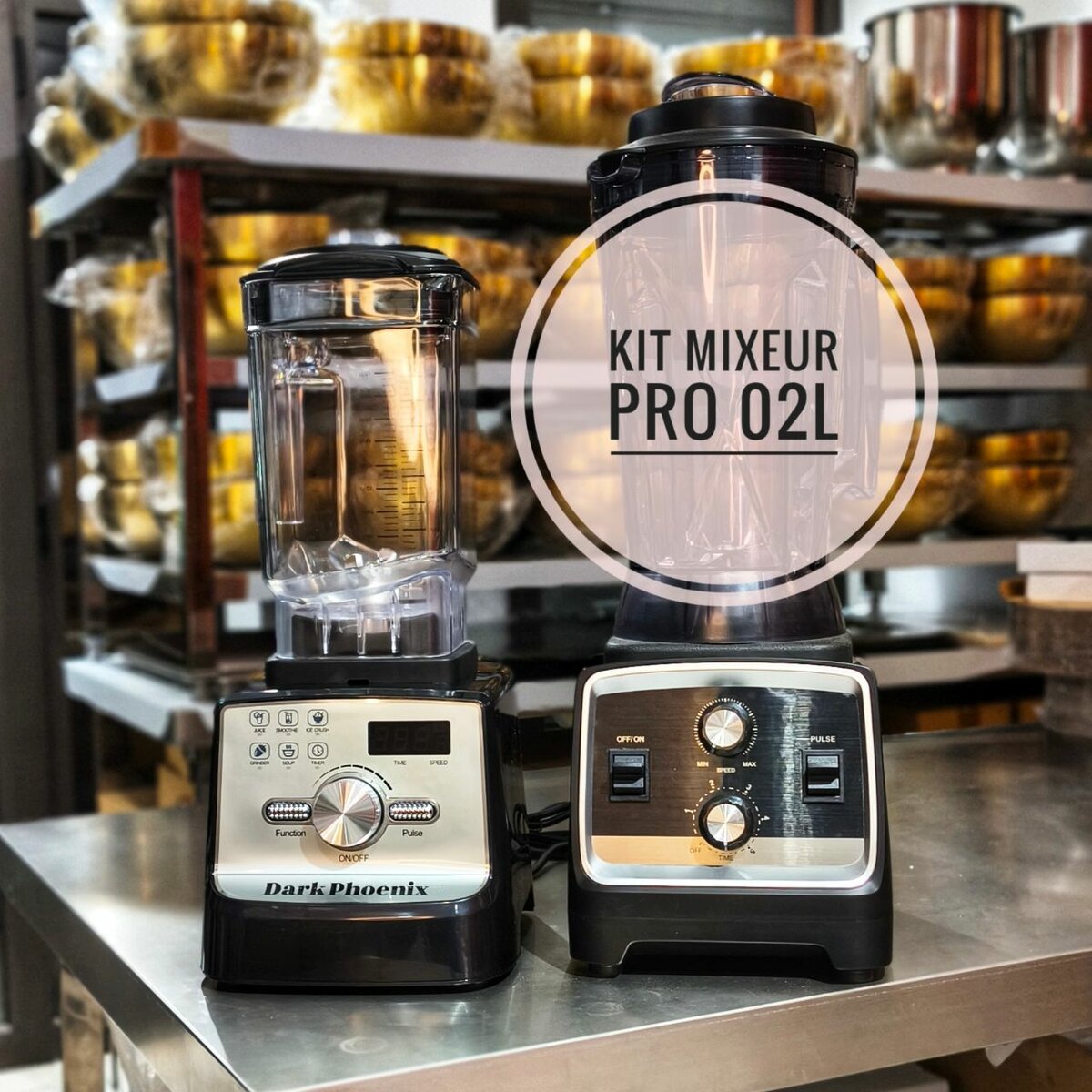 Mixeur Pro 2L Puissant