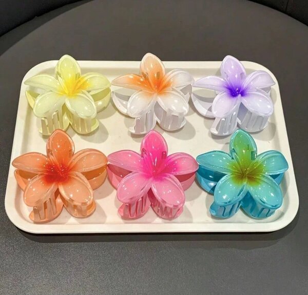Pinces à cheveux fleurs colorées