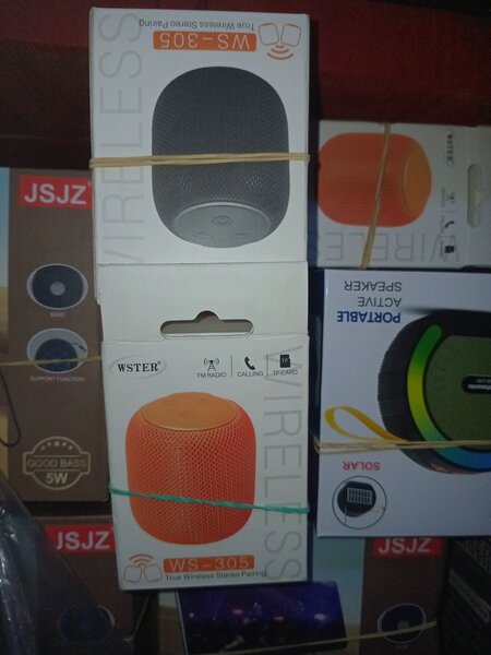 Enceinte Portable Bluetooth WS-305