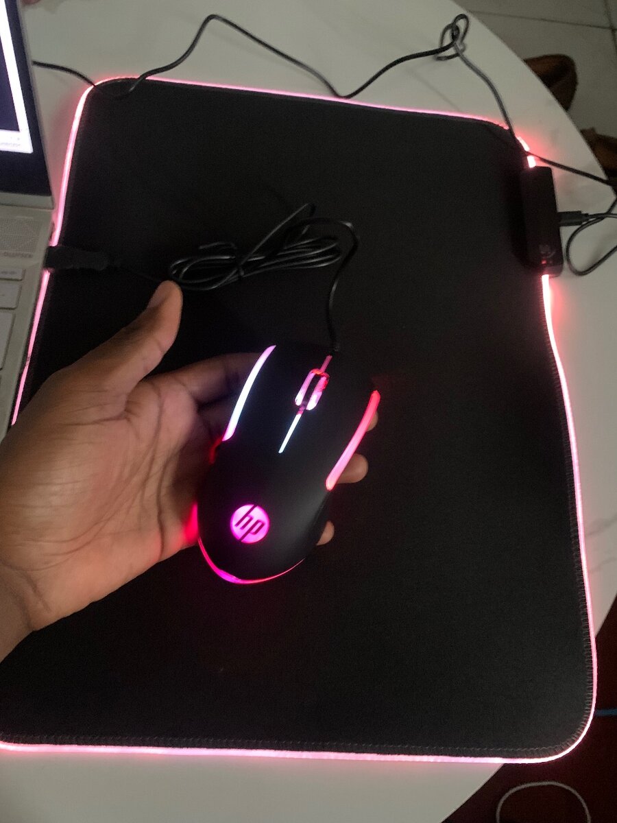 Grand Tapis et Souris Gaming