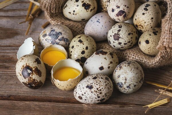 Œufs de caille frais