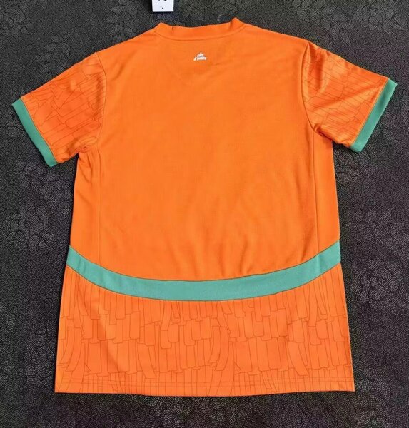 Maillot de Côte dIvoire original