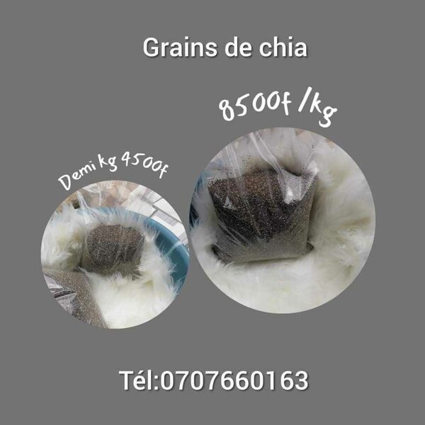 Grains de chia