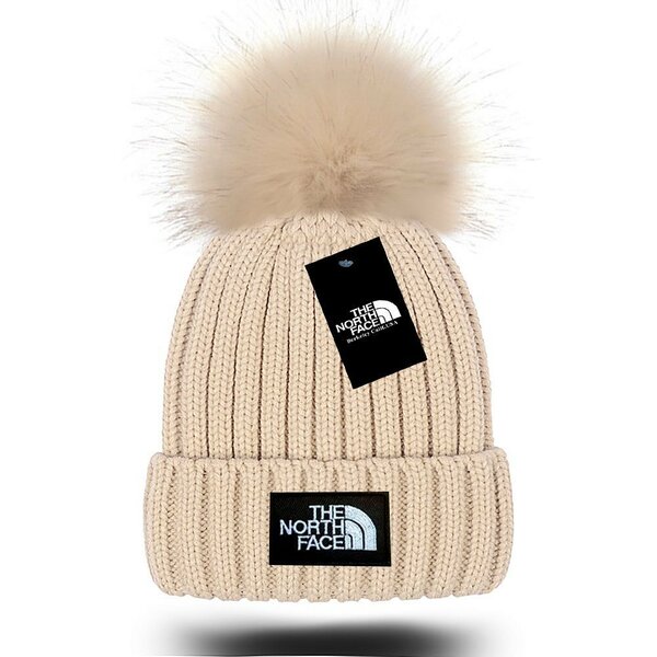 The north face hat