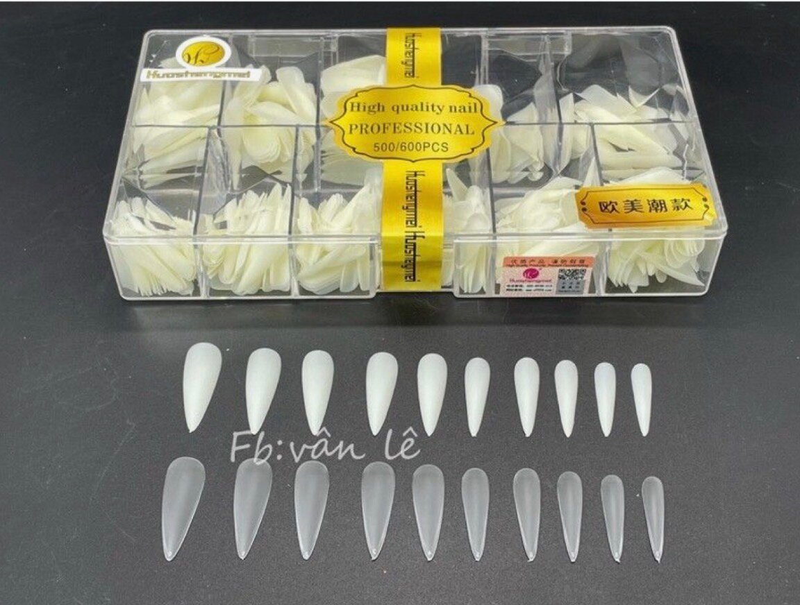 Kit d'ongles à pointe professionnelle