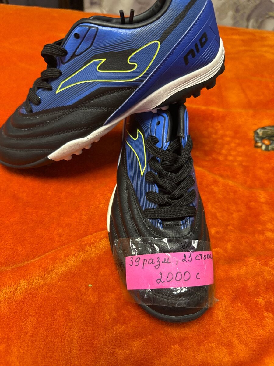 Сороконожки