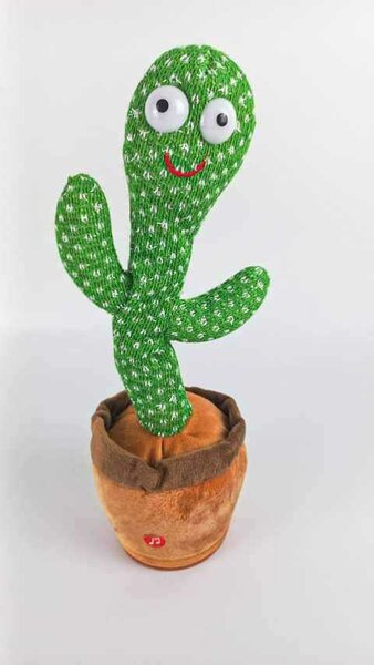Cactus jouet pour enfant