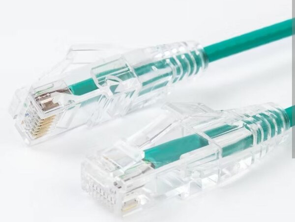 Connecteur RJ45 transparent