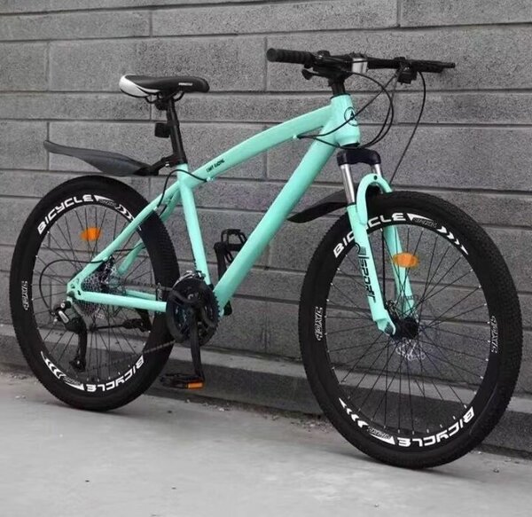 Vélo de montagne sarcelle