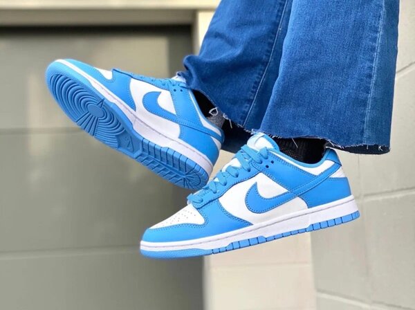Nike Dunk Low en bleu