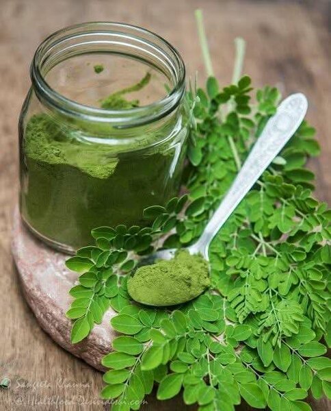 Poudre de Moringa Bio
