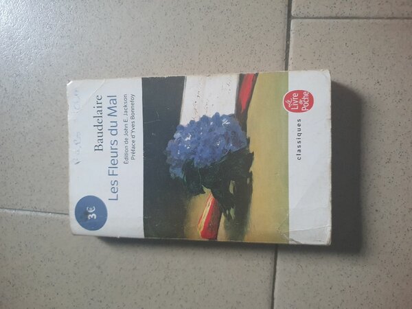 Les Fleurs du Mal - Baudelaire