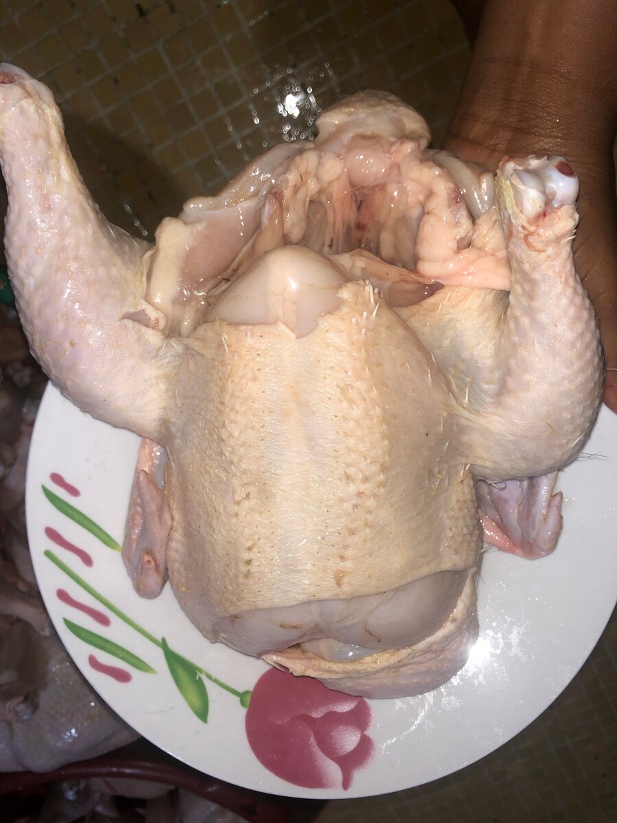 Poulet de chair