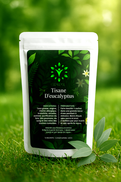 Tisane d'Eucalyptus Bio