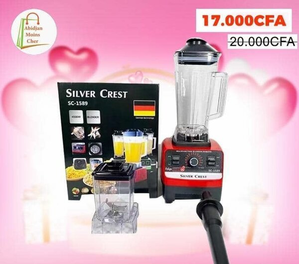 Mixeur Robot avec 2 bols