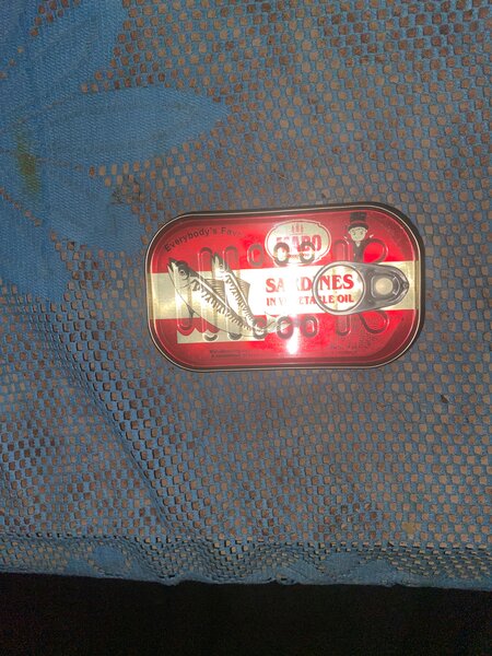 Sardines à l'huile végétale