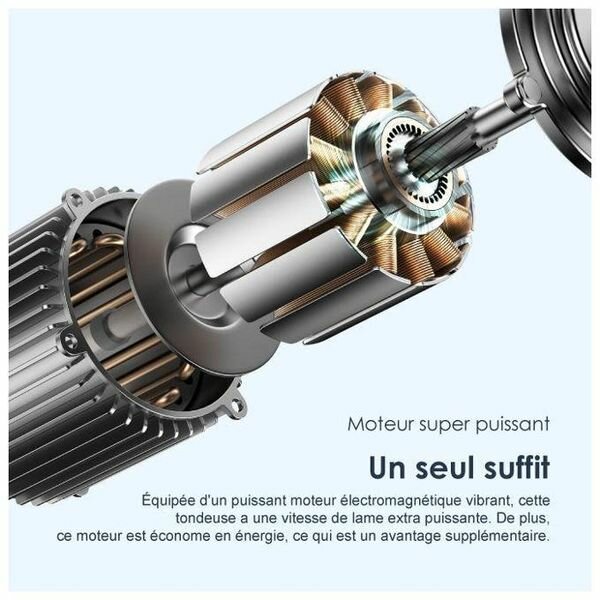 Tondeuse Électrique Puissante