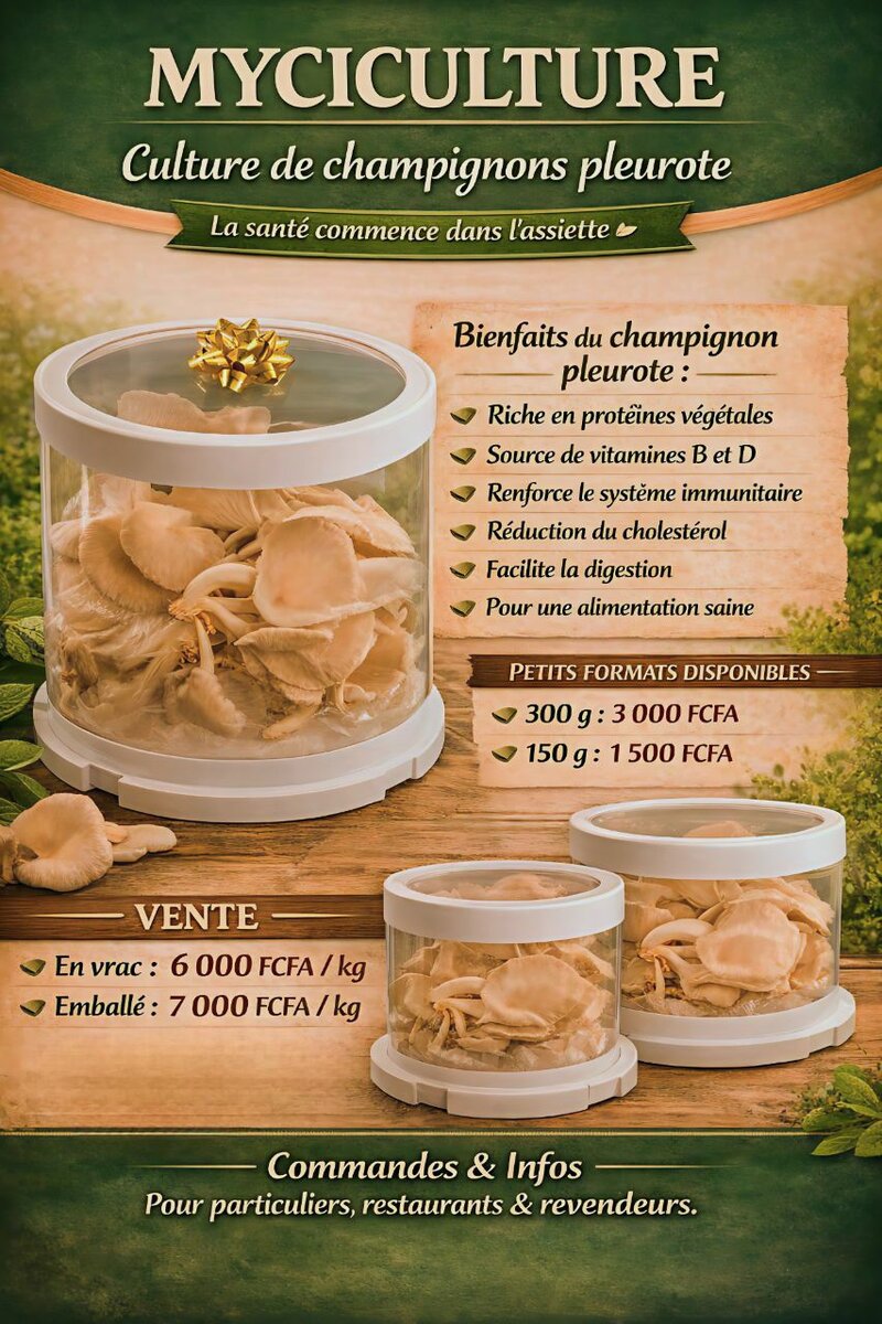 Pleurotes Fraîches Bio