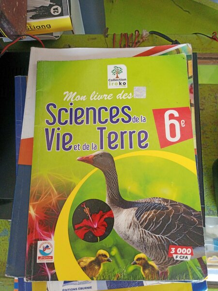 Livre de Mathématiques 6e